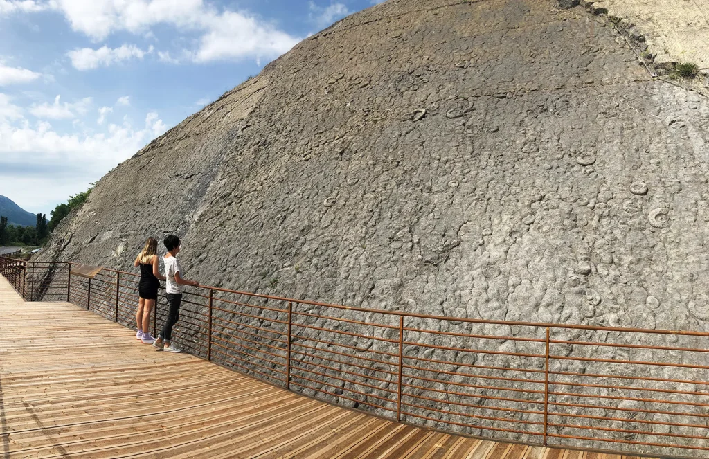 Observation of the ammonite slab from the equipped footbridge