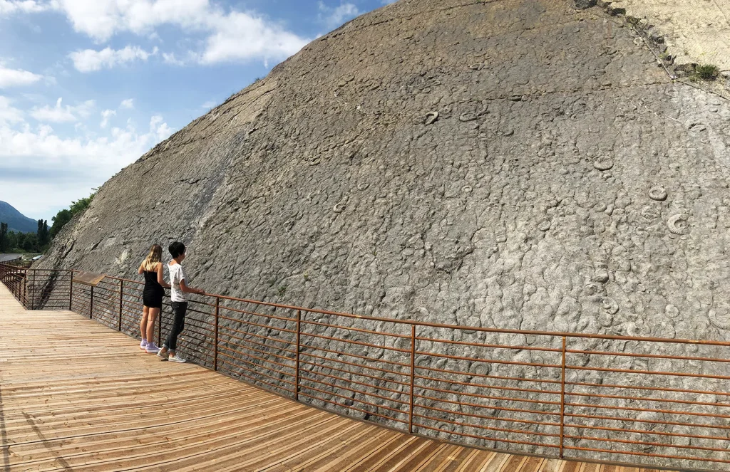 Observation de la dalle aux ammonites depuis la passerelle aménagée