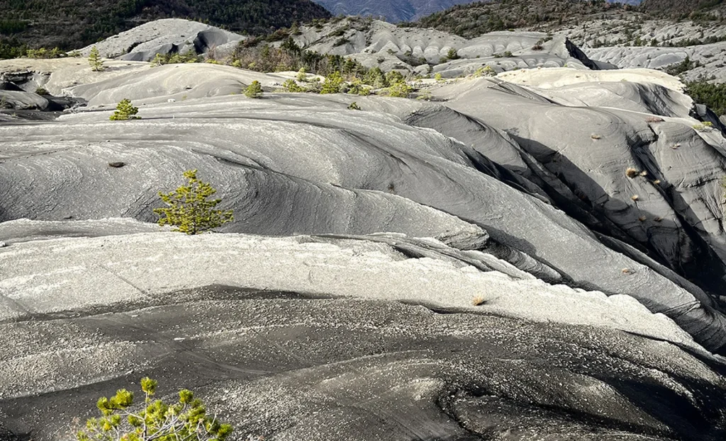 In the heart of the black earth in Haute Provence