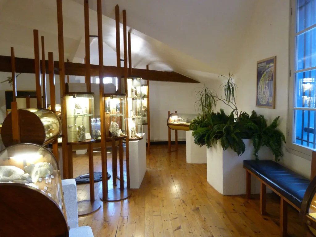 Fossil collections at the promenade museum in Digne les Bains