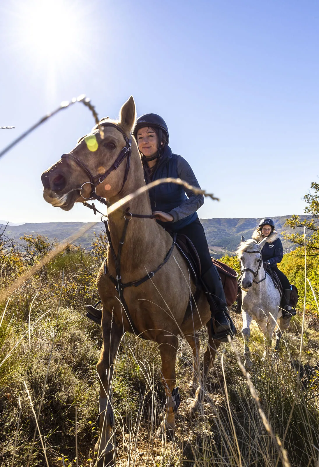 Balade à cheval en Haute Provence