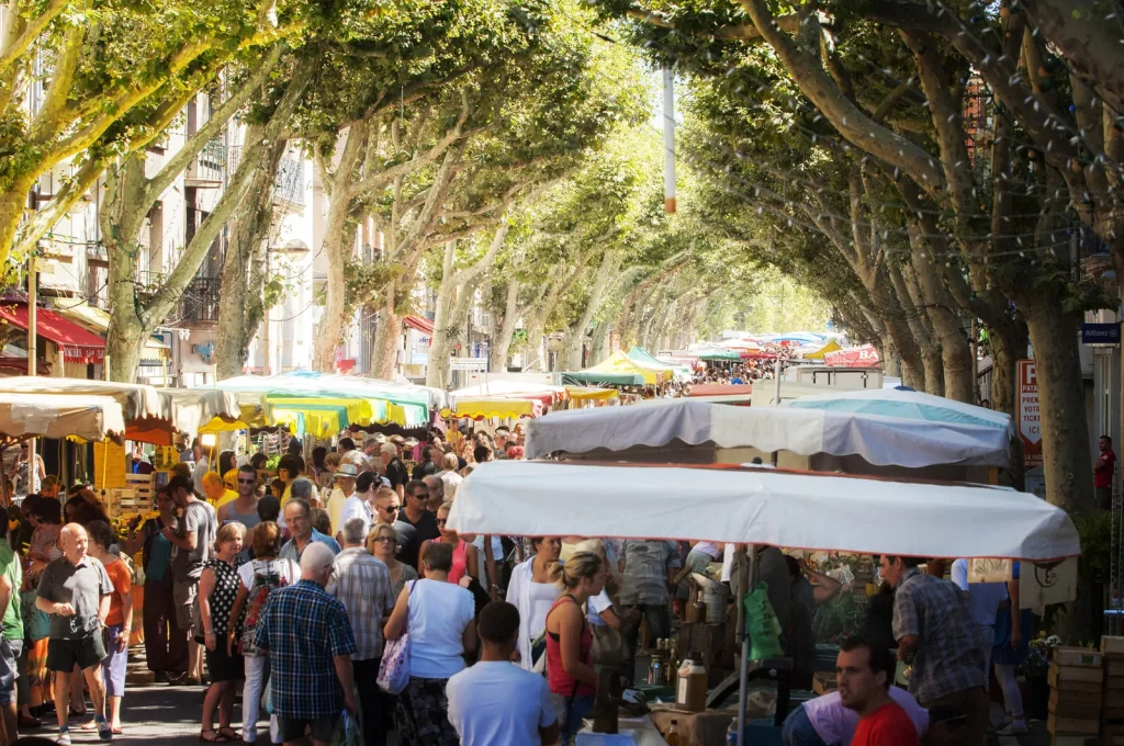 Auf dem Markt im Schatten der Platanen von Digne les Bains