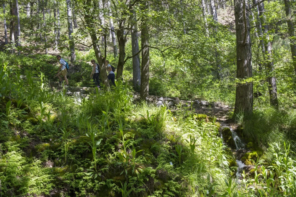 Spazieren Sie auf dem Wasserweg am Promenadenmuseum in Digne les Bains