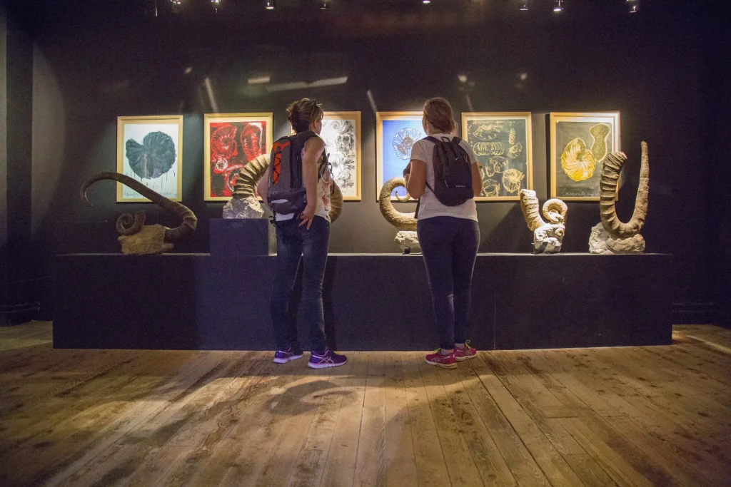 The fossil room at the Promenade Museum in Digne les Bains