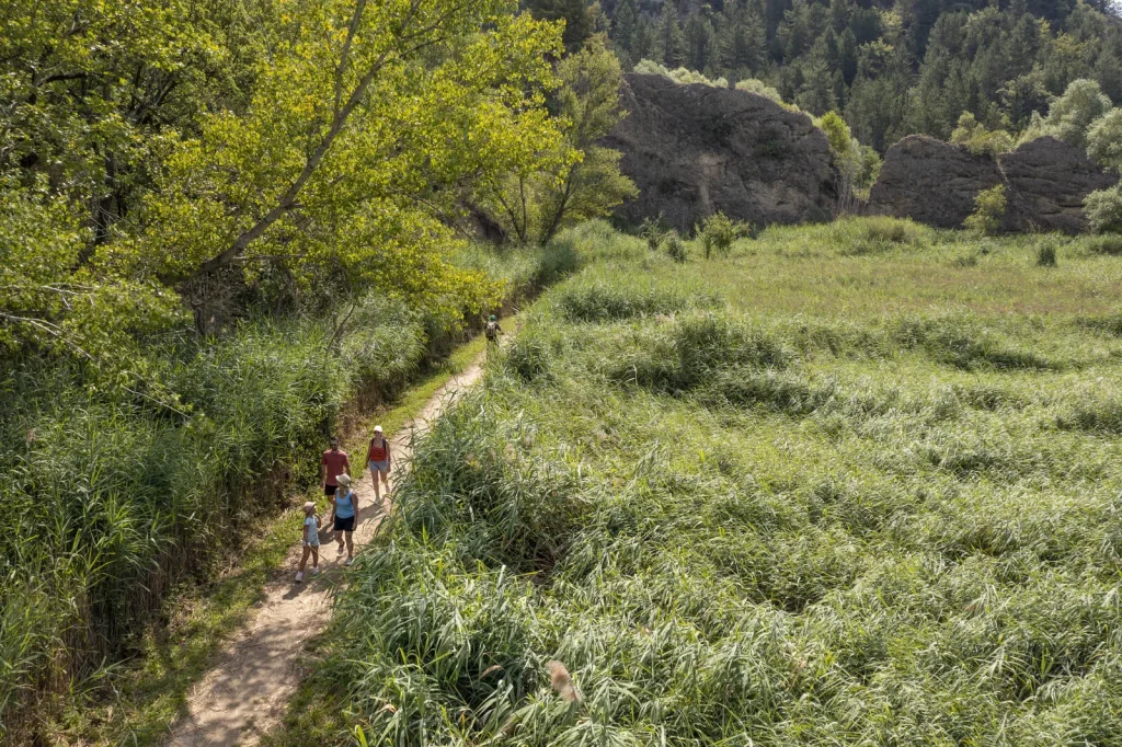 Wanderung im Schilfgürtel, Rundgang durch den Volonne-See im Ornithologischen Naturschutzgebiet Haute Provence