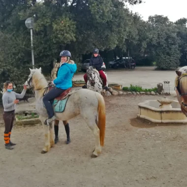 Equestrian cadence in the olive trees