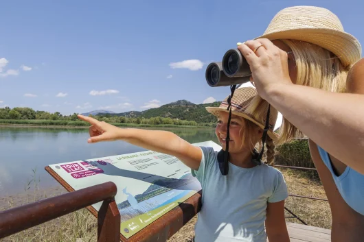 Beobachtung im Ornithologischen Reservat der Haute Provence am Ufer des Volonne-Sees