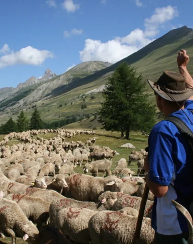 Hirte auf La Routo