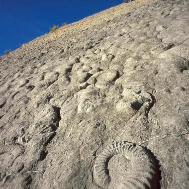 Vue générale de la dalle aux ammonites à Digne les Bains