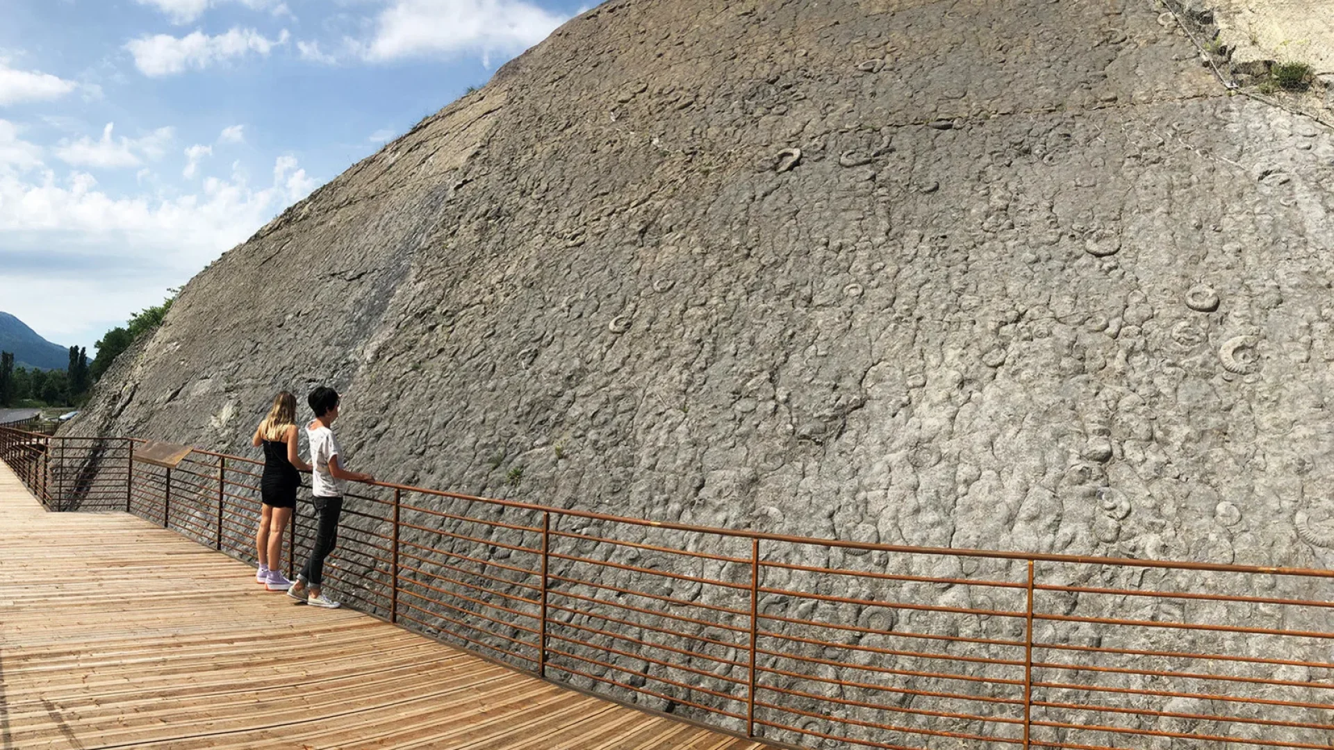 La dalle aux ammonites site emblématique du Géoparc de Haute Provence
