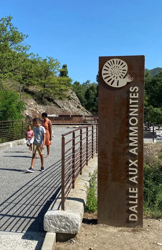 Découverte de la dalle aux ammonites en famille