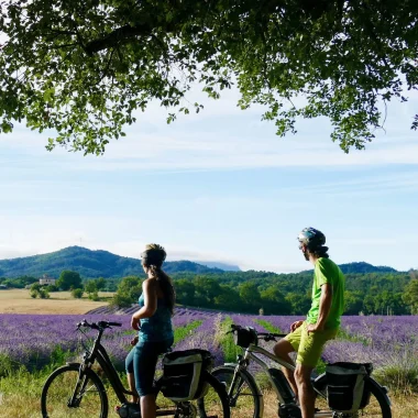 Cyclotourisme dans les champs de lavande