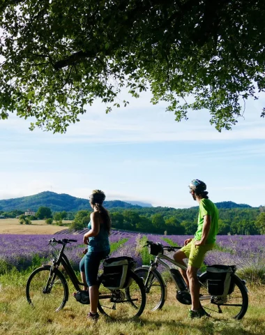 Cyclotourisme dans les champs de lavande