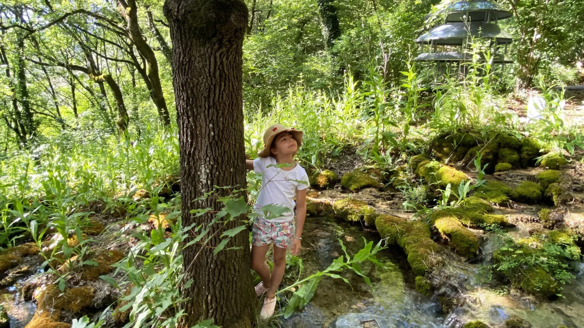 A la découverte des sentiers du musée promenade à Digne les Bains