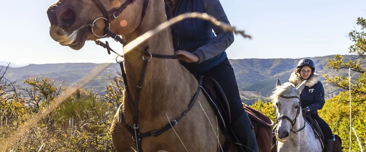 Balade à cheval en Haute Provence