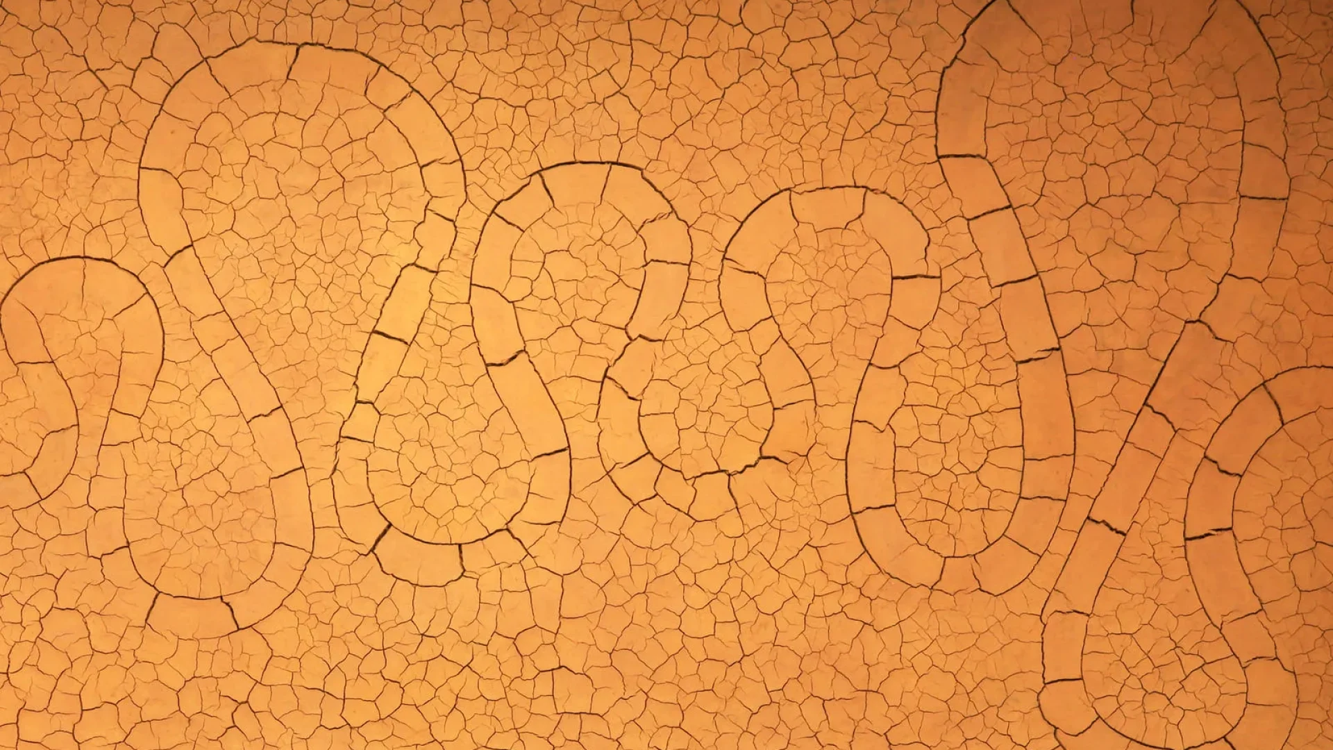 Serpent de terre d'Andy Goldsworthy dans la salle des paysages du musée Gassendi à Digne les Bains