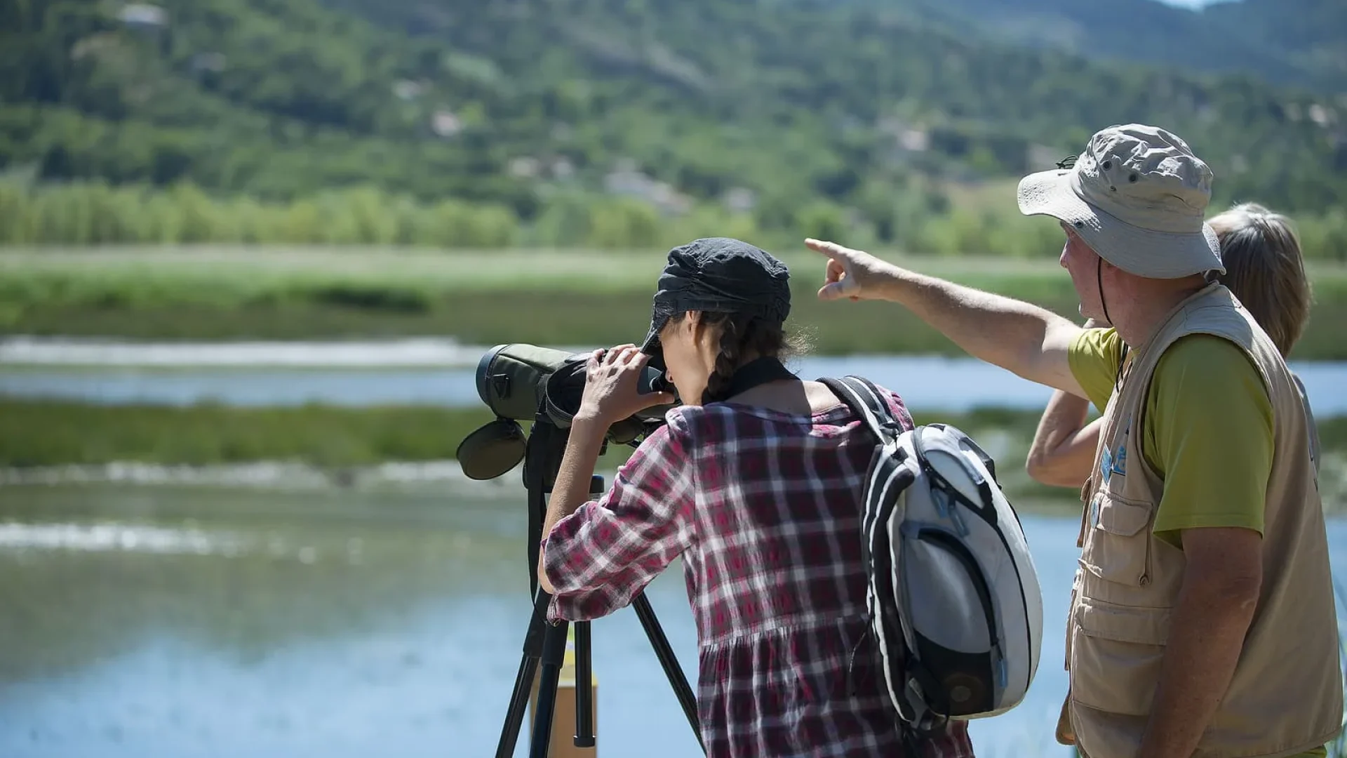 Observation des oiseaux autour du lac de l'Escale dans la Réserve Ornithologique