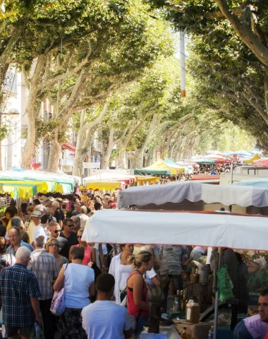 Sur le marché à l'ombre des platanes de Digne les Bains