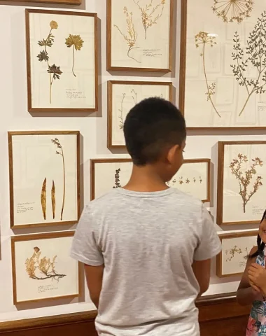 Herbiers modernes d'herman de vries au musée Gassendi à digne les Bains