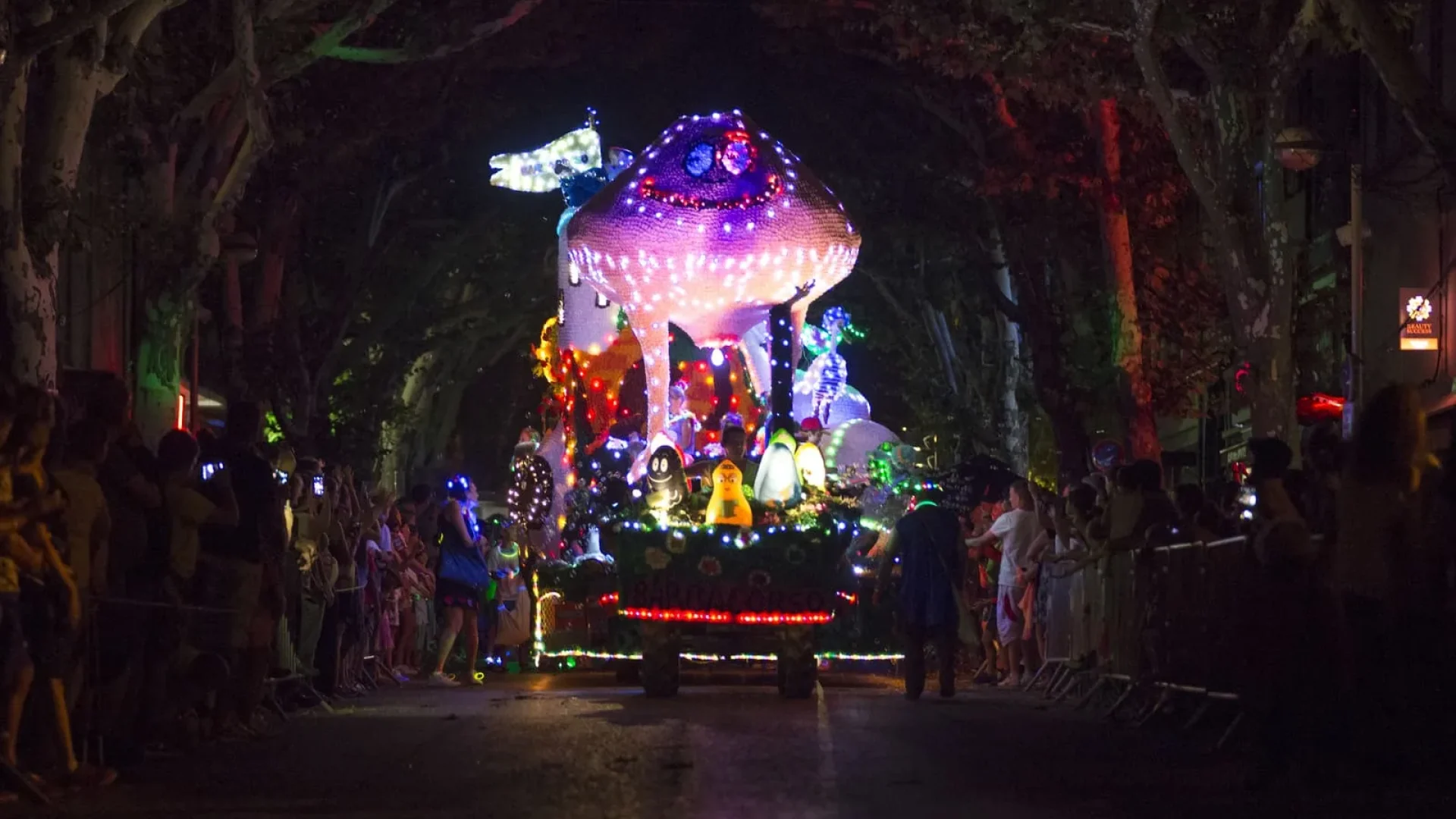 Défilé de nuit du Corso de la lavande à Digne les Bains