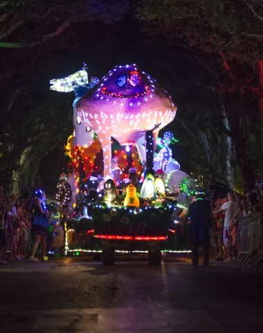 Défilé de nuit du Corso de la lavande à Digne les Bains