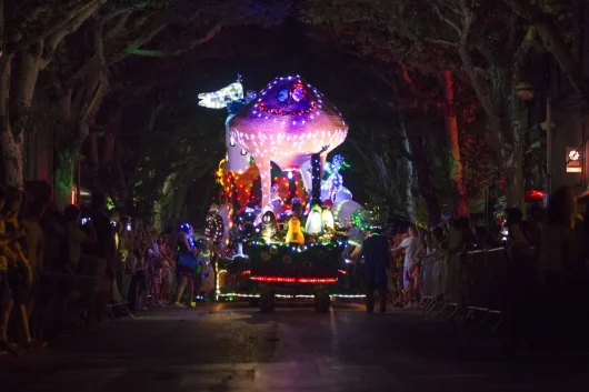 Night parade of the Lavender Corso in Digne les Bains