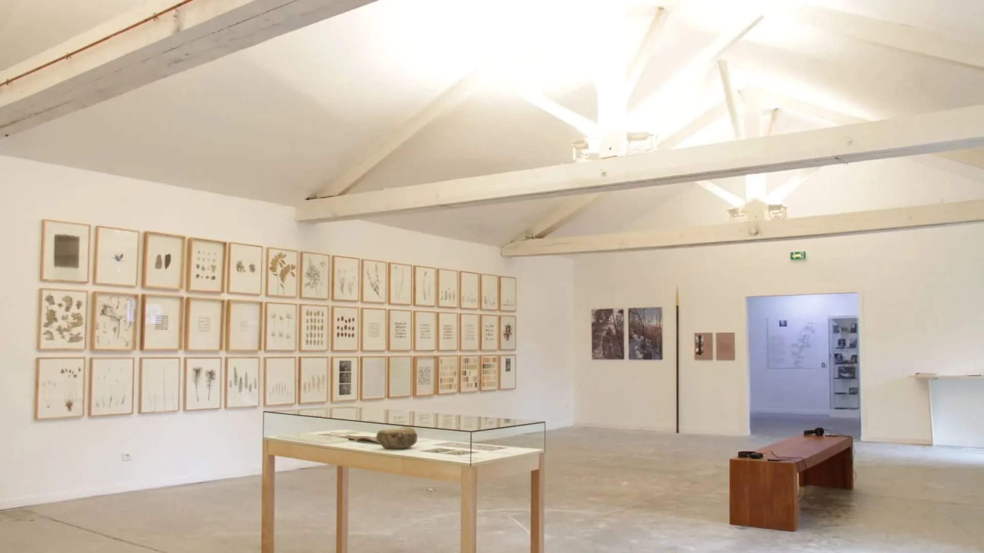 Exposition d'herman de vries au CAIRN centre d'art à Digne les Bains en 2015