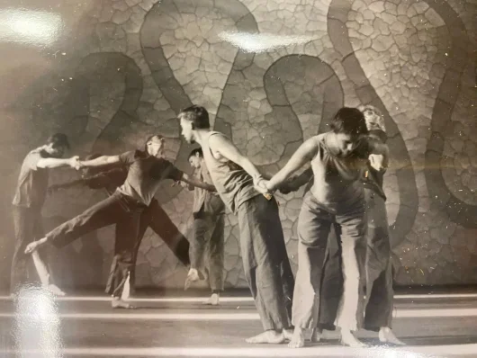 Ballet Atlantique au Musée Gassendi devant l'oeuvre d'Andy Goldsworthy
