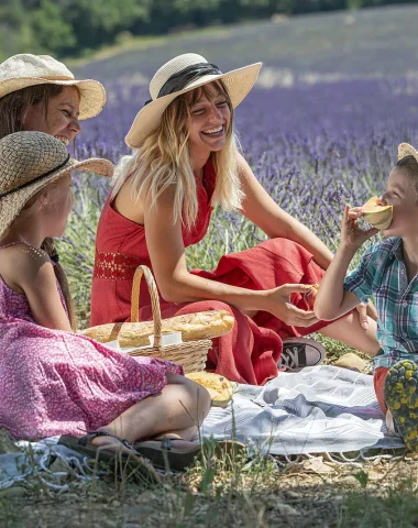 Picknick in der Nähe der Lavendelfelder