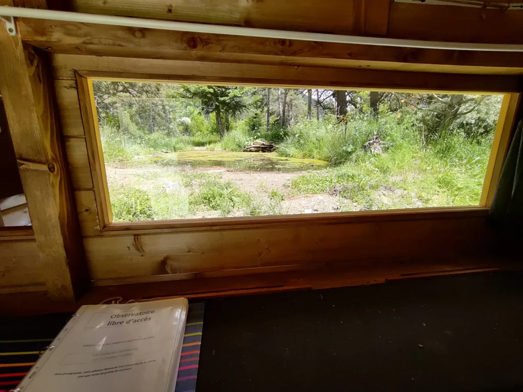 Cabane d'observation des oiseaux arboretum du Cubertin