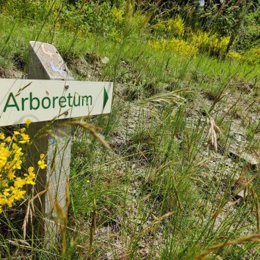 Arobertum du Cubertin comme d'Auzet Alpes de Haute Provence
