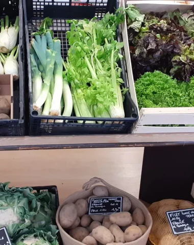 Étalage de fruits et légumes dans une boutique alimentaire