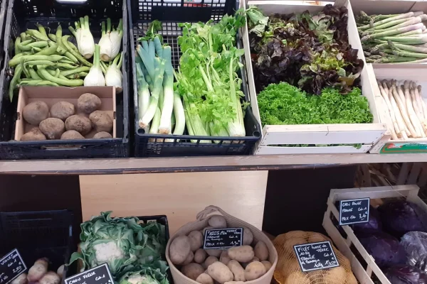 Étalage de fruits et légumes dans une boutique alimentaire