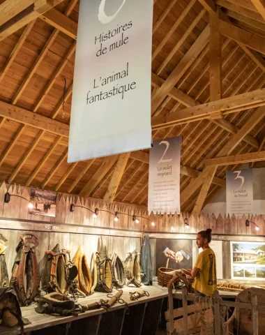 Exposition de la Maison du Mulet de Seyne les Alpes